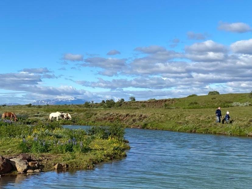 Golden Circle Private Farmhouse With Hot Tub Villa Selfoss Exterior foto